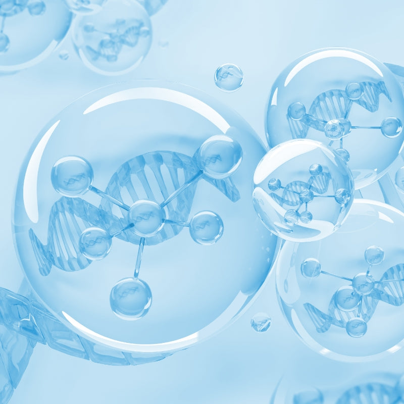 Les bienfaits de la bave d'escargot pour la peau