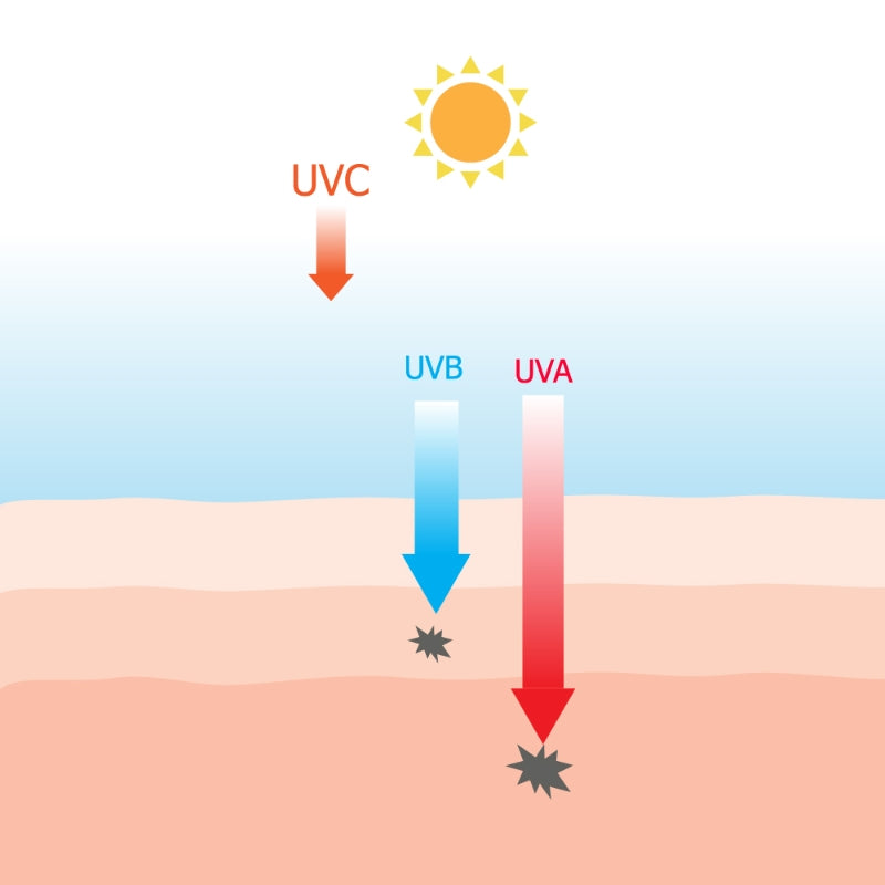 Quelle est la différence entre UVA, UVB, UVC