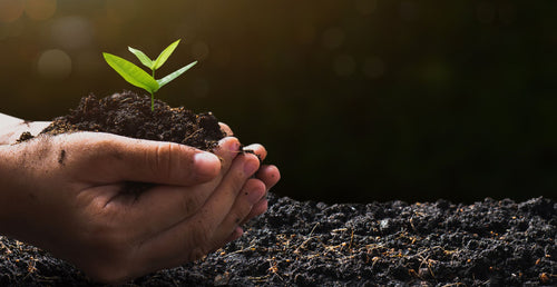 L'ÉCO-CONCEPTION DE NOS CONTENANTS : UN ENGAGEMENT ENVERS L'ENVIRONNEMENT