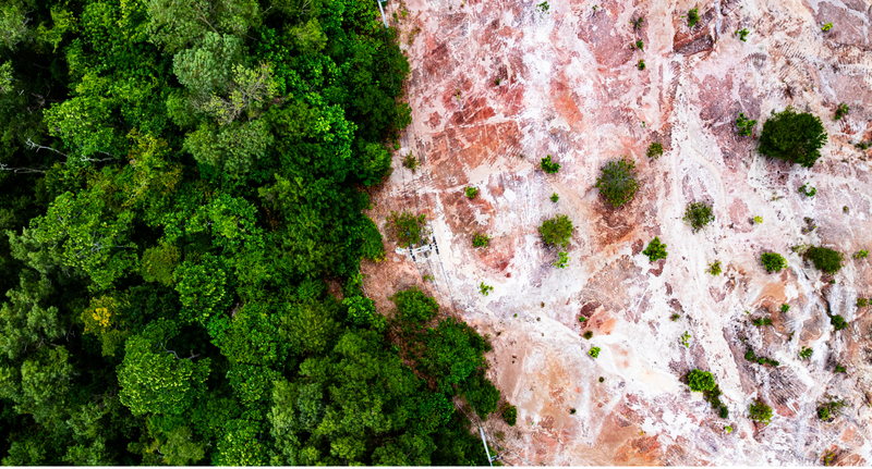 OGM, engrais, déforestation
