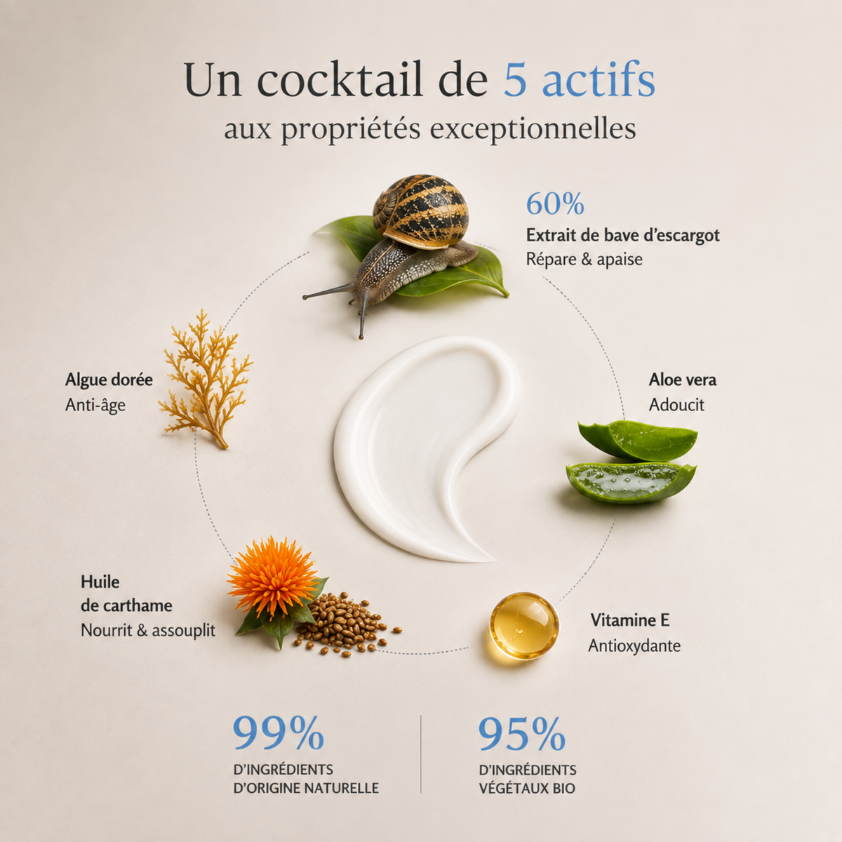 Zertifizierte Bio-Tagescreme – feuchtigkeitsspendend und regenerierend