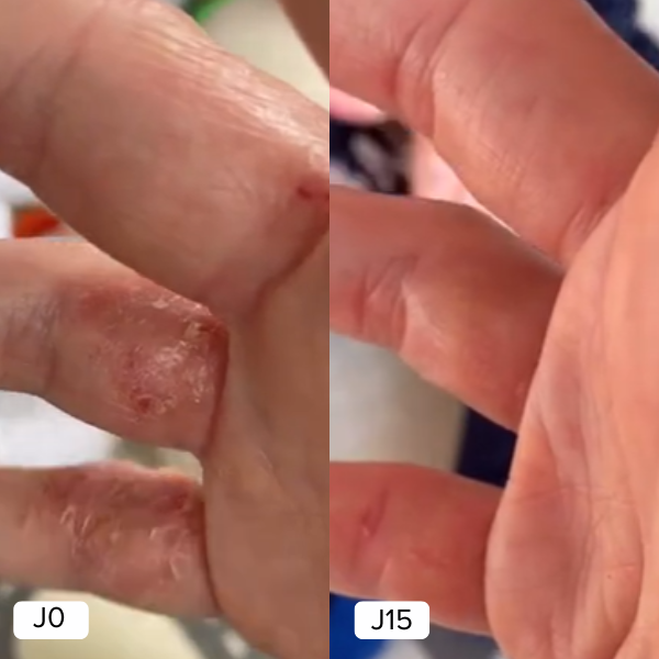 NUTRITIVE ELIXIR CREME Aus kontrolliert biologischem Anbau – beruhigend und schützend