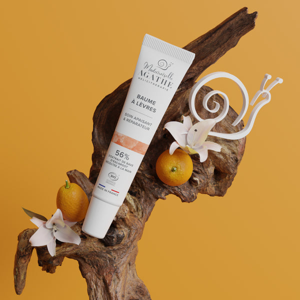 LIP BALM Bio-zertifiziert – beruhigend und reparierend