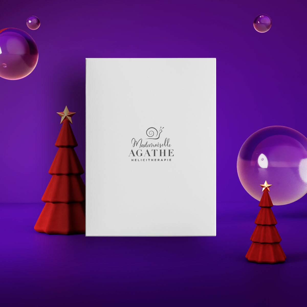 Mademoiselle Agathes Geschenkbox