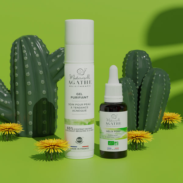 DUO ACNE IN & OUT - Zu Akne neigende Haut