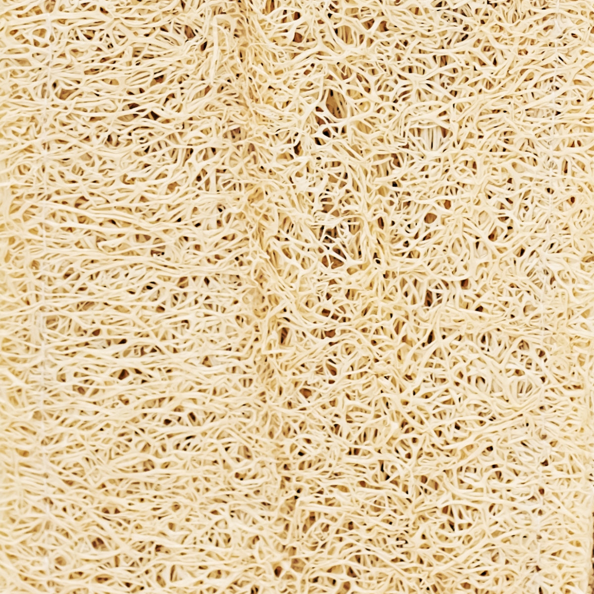 LUFFA GLOVE - Peeling &amp; Anti-Cellulite