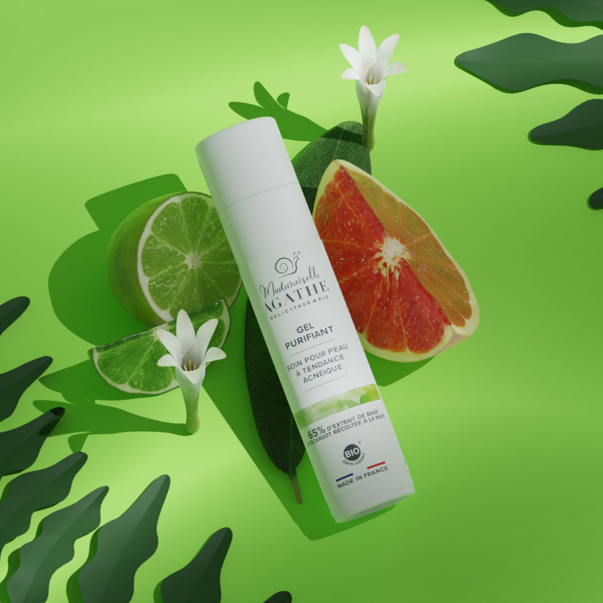 RICH CREAM Aus kontrolliert biologischem Anbau – Anti-Aging für trockene Haut